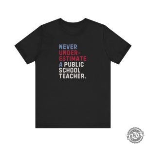 Never Underestimate A Public School Teacher Shirt 2024 Vote Tshirt Democrats Gift Democrat Vote 2024 Hoodie Elections Sweatshirt Democrat Unisex Shirt honizy 2