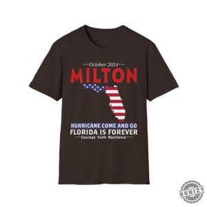 Hurricane Milton Shirt Hurricane Survivor Tee Storm Tshirt I Survived Hurricane Milton Sweatshirt Florida Hurricane 2024 Hoodie honizy 3