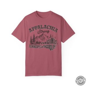 Appalachia Strong Hurricane Helene Southern Tshirt Hurricane Strong States Sweatshirt Virginia Tennessee North Carolina Shirt honizy 4