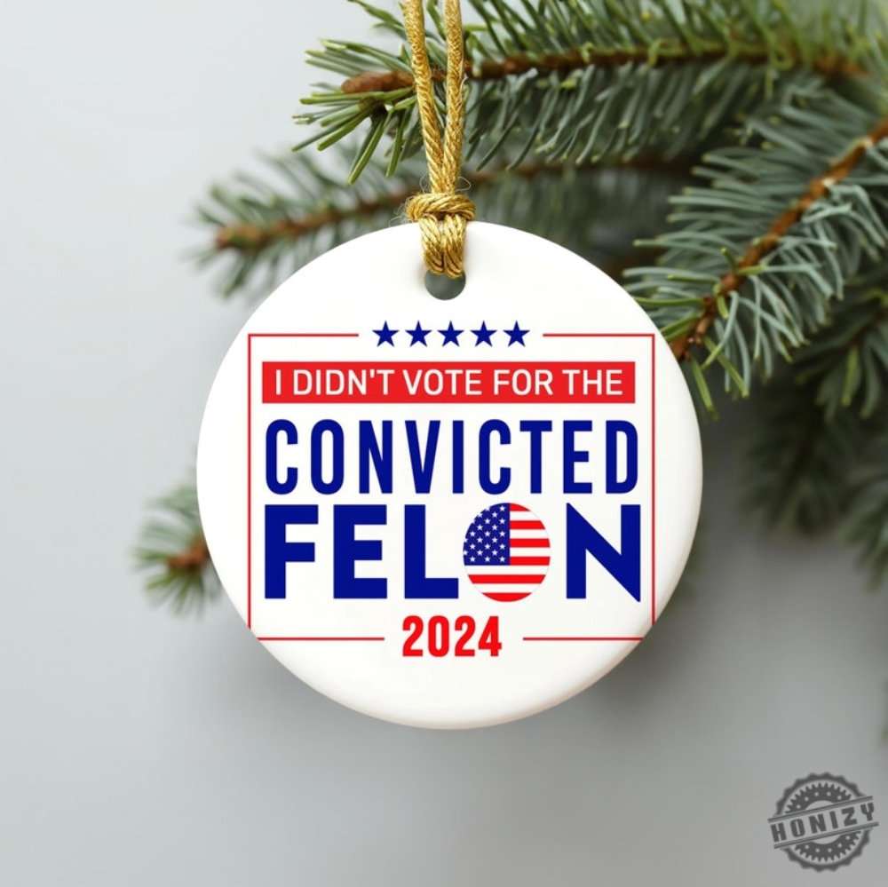 I Didnt Vote For The Convicted Felon Ornament Antitrump Political Ornament 2024 Election Ornament Anti Trump Christmas Ornament honizy 1