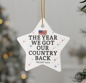 Trump Ornament Trump Gift Funny Trump Gift President Trump Ornaments Gift For Trump Supporter Trump Christmas Gift honizy 3