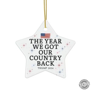 Trump Ornament Trump Gift Funny Trump Gift President Trump Ornaments Gift For Trump Supporter Trump Christmas Gift honizy 4