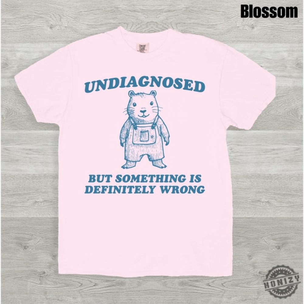 Undiagnosed But Something Is Wrong Shirt Retro Distressed Sweatshirt Funny Tshirt Meme Hoodie Funny Gift Young Men Gift