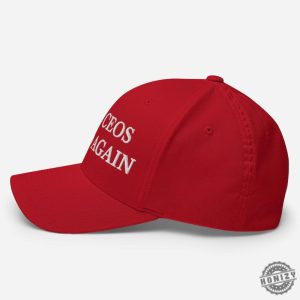 Make Ceos Afraid Again Hat Embroidered Structured Flexfit Cap Deny Defend Depose Populist Activist Gift honizy 3