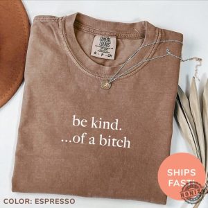 Be Kind Of A Bitch Shirt Sarcastic Sweatshirt Funny Humor Tshirt Sarcasm Hoodie Funny Quote Tee Funny Shirt For Women honizy 4