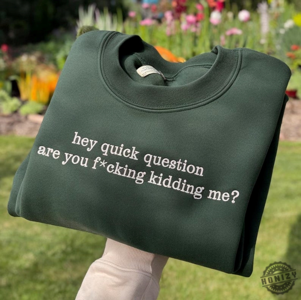 Hey Quick Question Are You Kidding Me Embroidered Sweatshirt Funny Humor Tshirt Funny Girls Hoodie Sarcasm Shirt