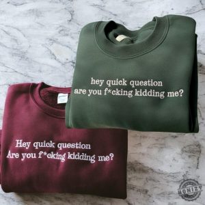 Hey Quick Question Are You Kidding Me Embroidered Sweatshirt Funny Humor Tshirt Funny Girls Hoodie Sarcasm Shirt honizy 3