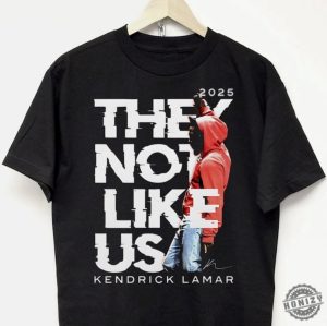 Kendrick Lamar Hoodie They Not Like Us Sweatshirt Vintage Style Tshirt honizy 3